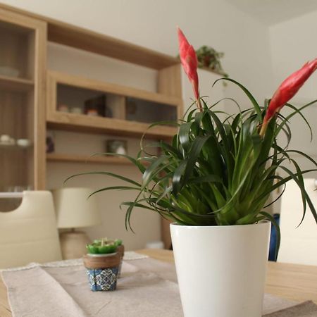 Ohana: Casa Nel Centro Di לצ'ה מראה חיצוני תמונה