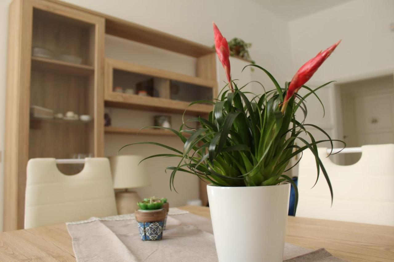 Ohana: Casa Nel Centro Di לצ'ה מראה חיצוני תמונה